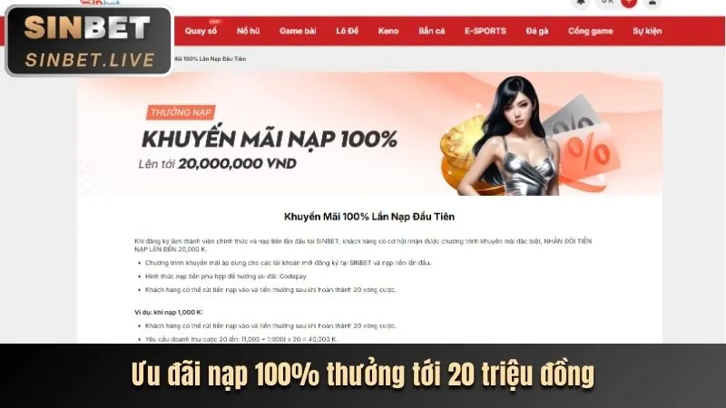 Tin tức và khuyến mãi bigbet win